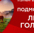 В Пущине открыли двери все избирательные участки - Пущинская среда