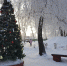 20181218 095629-1 - Администрация г. Пущино