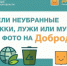 На портале Добродел с 28 марта по 15 апреля проходит голосование «Субботник 2019. Вместе лучше! Определим место» - Пущинская среда