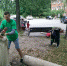 Перед молодёжной экологической бригадой «Трудовой десант» поставлены серьёзные задачи - Администрация г. Пущино