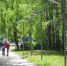 По программе «Светлый город» в Пущине модернизируют освещение четырёх участков - Пущинская среда