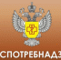 Публичные обсуждения результатов акции «День открытых дверей для предпринимателей» состоятся 19 марта - Администрация г. Пущино