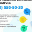Коронавирус: «горячая» линия и телеграм-канал заработали в Подмосковье - Пущинская среда