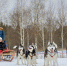 1_Руза_—_Можайск_1_день.jpg - Пущинская среда