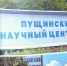 Виртуальная выставка, приуроченная ко Дню российской науки - Администрация г. Пущино