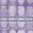 Пущинцев приглашают принять участие в психологическом тренинге - Администрация г. Пущино