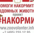 В Пущино проходит акция «Накорми» по сбору корма для бездомных животных - Администрация г. Пущино