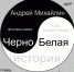 Чёрно_белая история_афиша.jpg - Пущинская среда