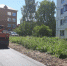 Новости образования, культуры, сферы благоустройства городского округа Пущино - Администрация г. Пущино