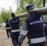 regular_image-2415528b4c234cb47e65f2b085873d77.jpg - Пущинская среда