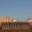 Новости образования, культуры, сферы благоустройства городского округа Пущино - Администрация г. Пущино
