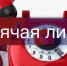 В Подмосковье работает горячая линия для социальной помощи на время самоизоляции - Отдел соцзащиты населения