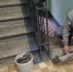 работы_в_подъезде1.jpg - Пущинская среда