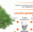 9f4e3bc315597f35eefa878b79d54587.jpg - Пущинская среда