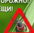 осторожно клещи.jpg - Пущинская среда