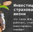 Что такое  Инвестиционное страхование жизни - Администрация г. Пущино