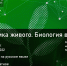 Курсы открытого образования в ПущГЕНИ: «Биофизика живого. Биология в «цифре» - Администрация г. Пущино