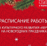 Расписание работы ЦКР «Вертикаль» и КЗ «Молодость» на новогодних праздниках - Администрация г. Пущино