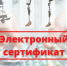Для 1,1 тысяч детей с инвалидностью приобретена услуга по комплексной реабилитации с использованием электронного сертификата - Администрация г. Пущино