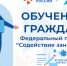 Пущинцев приглашают принять участие в проекте «Содействие занятости» - Администрация г. Пущино