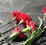 «Николай Медведев из Большой Медведевщины» - Администрация г. Пущино