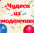 Команда аниматоров из проекта «Наш веселый двор» приглашает 20 июля на праздник - Администрация г. Пущино