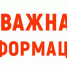 12 августа в Пущинской обсерватории состоится открытие астрономического фестиваля «Пущинские Персеиды». - Администрация г. Пущино