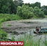Началась расчистка исторического водоема у села Липицы - Regions.Ru