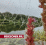В Пущино придет резкое похолодание в выходные - Regions.Ru