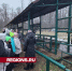 В Приокско-Террасном заповеднике запустили конкурс к юбилею - Regions.Ru