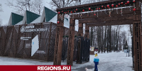 Концерты и выставки пройдут в Большом Серпухове в честь 8 марта - Regions.Ru