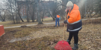 Дороги и газоны на бульваре Алябьева в Пущине очистили от сора после зимы - Regions.Ru